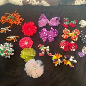 Colorful Hair Bow and Clip Set